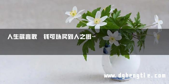 人生箴言歌 钱可以买到人之心…